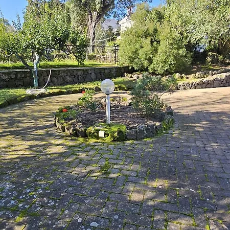 Lia - Porto Ischia